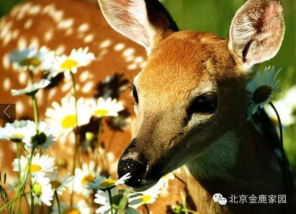 浙江五一旅游攻略亲子游,五一山东小众旅游亲子游