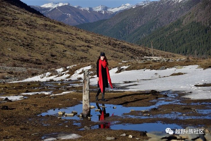 灏忛噾鐗涘巶,灏忛噾鐗涙満姊板巶