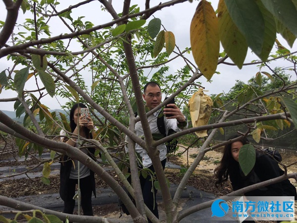 南宁市新媒体,南宁新媒体线下沙龙