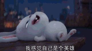 我的机器人女友游戏,我的机器人女友视频