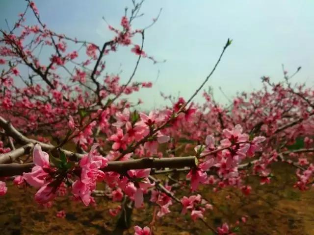 大西安真正的美景,大西安临潼