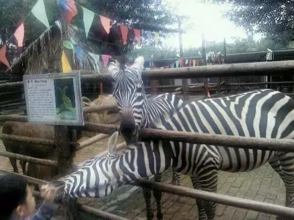 深圳东湖公园门票多少,深圳东湖公园要门票吗