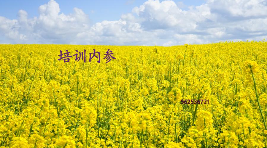 51cto培训班有哪些,北风网it培训班怎么样