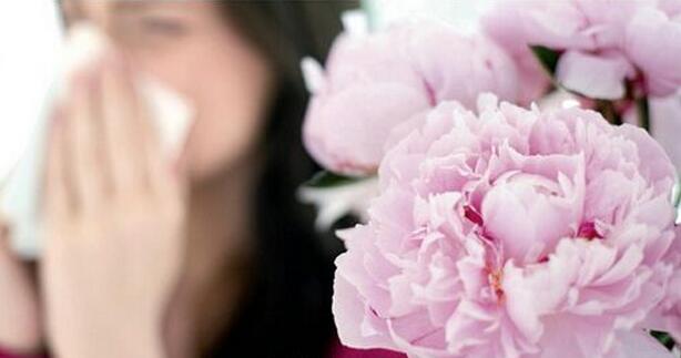 烟台京鲁名医联合会诊再次来袭,京鲁名医最新消息