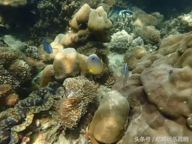 3000玩转泰国2天4夜攻略 (泰国小马尔代夫海岛)