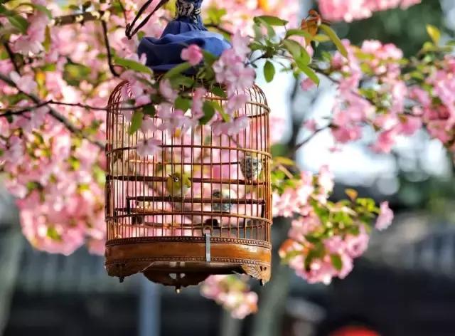 4月照片,4月的照片大全