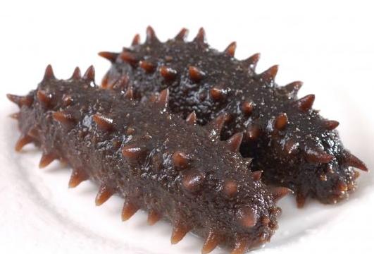 人造海参是真的吗,人造假海参是真的吗