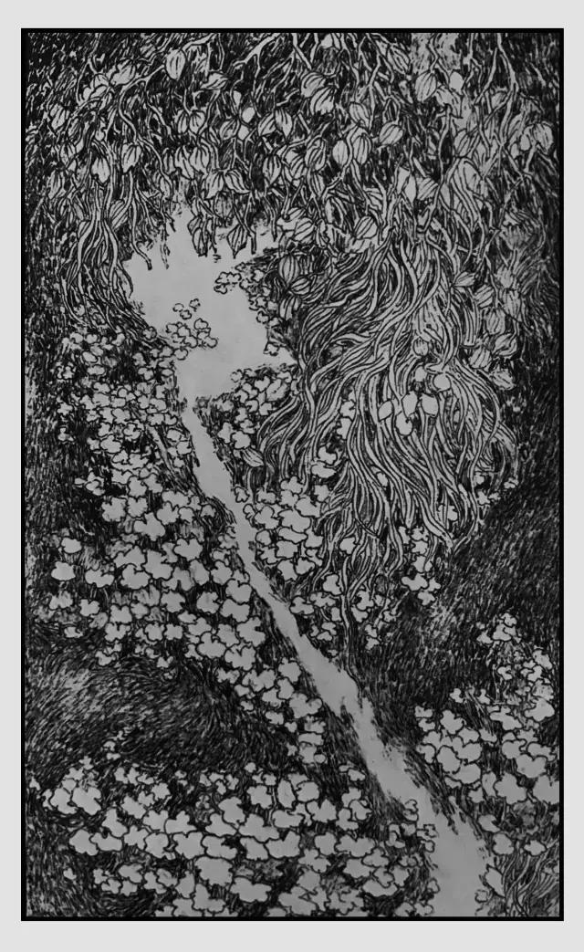 插画师迷狸:路过,停留