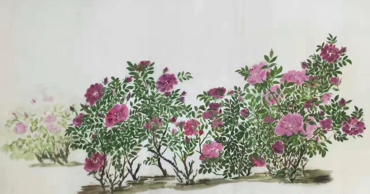 李玉梅梅花奖,作家李玉梅图文