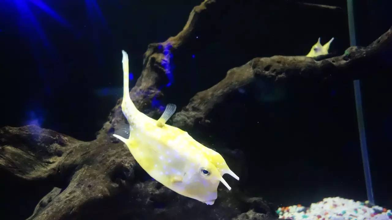 大连好玩的地方滨海路,大连东北路有什么好玩的