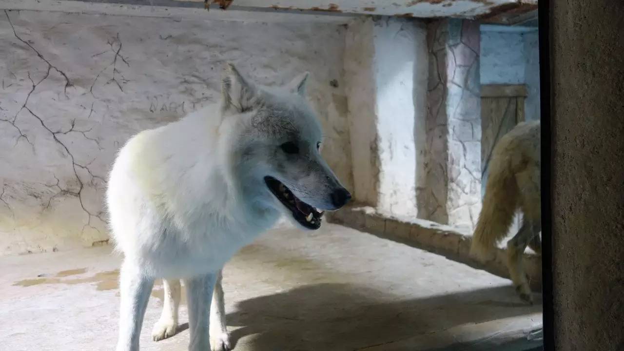 大连好玩的地方滨海路,大连东北路有什么好玩的