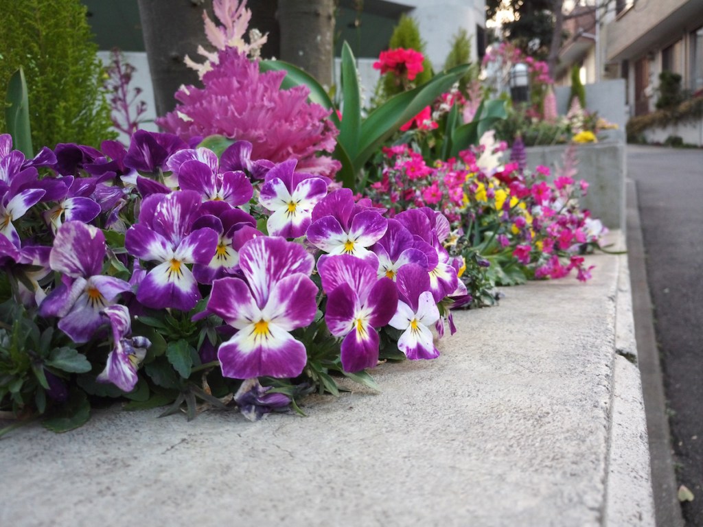 mate8和mate10屏幕对比,阿波罗手机性能