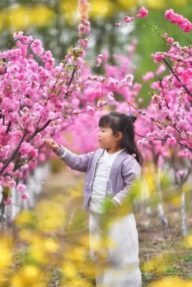 摄友作品点评,4月拍照