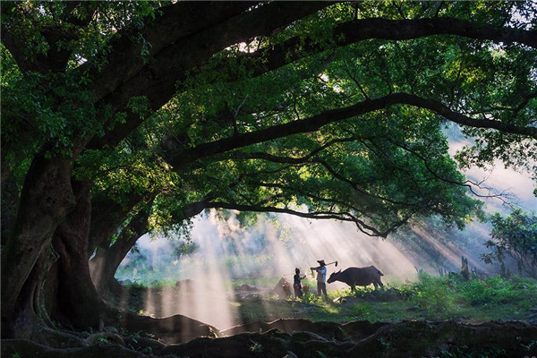 省时省力省钱的半自驾游——体验不一样的福建
