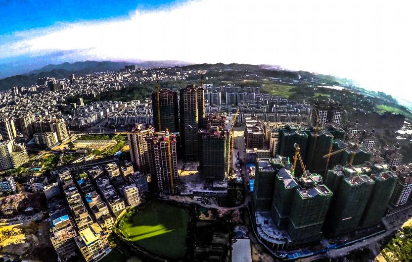 中国桂圆之乡广西博白,广西博白县桂圆柚之乡