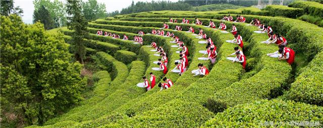 胡晓云,农产品区域公用品牌政策体系