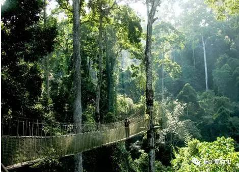 泼水节后，西双版纳该怎么玩，附防高温注意事项