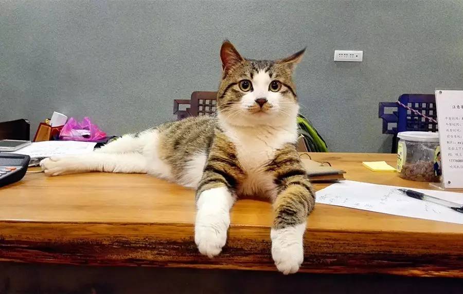 元宝山下,山水云间,悠悠闲云时光,恰好那时我也在