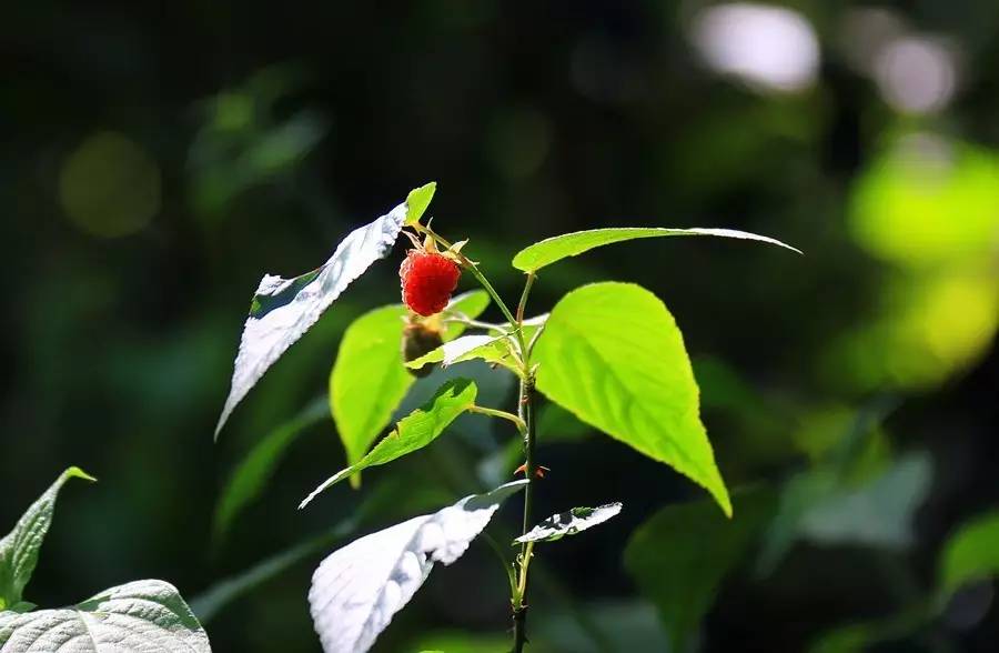 元宝山下,山水云间,悠悠闲云时光,恰好那时我也在