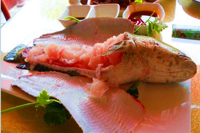 济南尚德源鲁菜馆哪家最好,济南天桥区排名前十的鲁菜馆