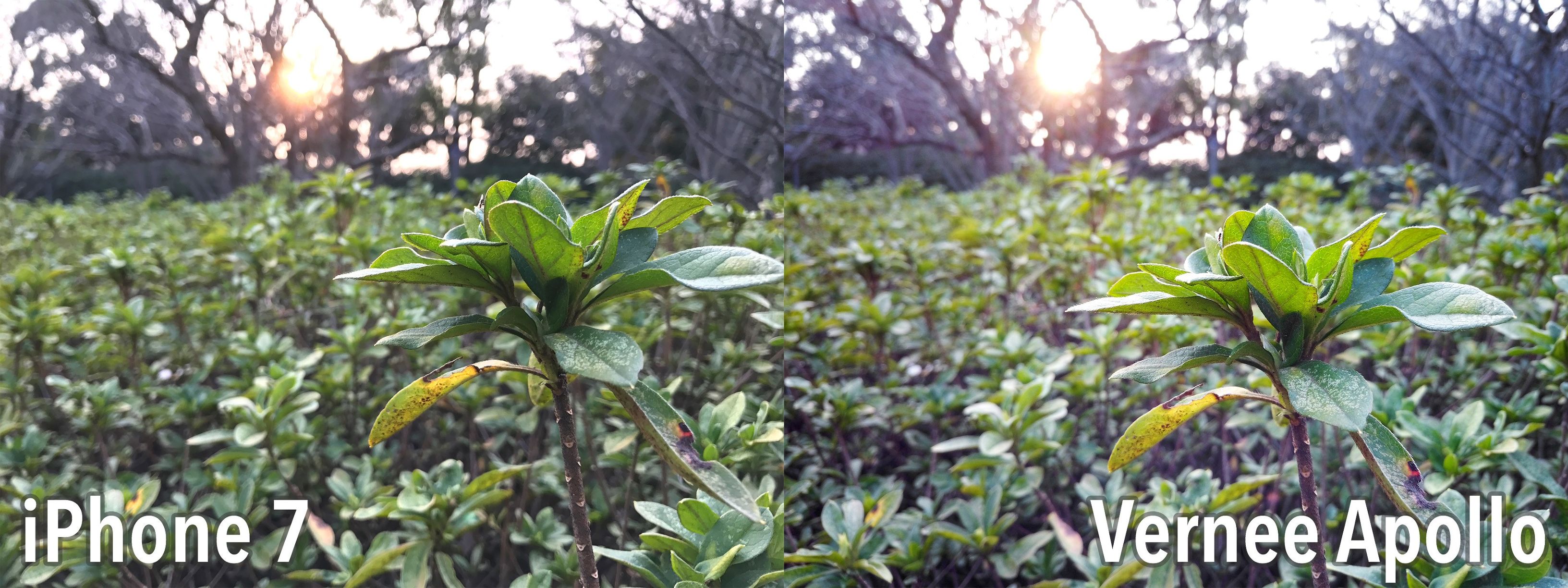 mate8和mate10屏幕对比,阿波罗手机性能