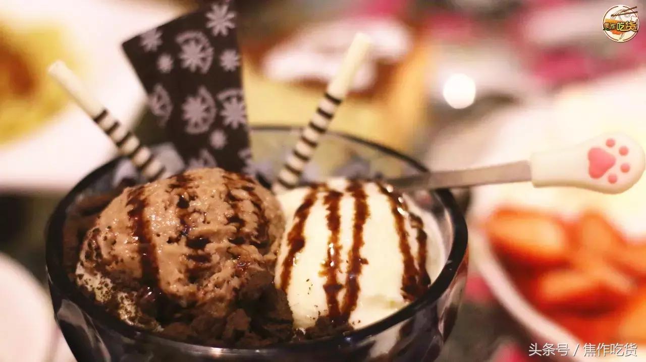 猫咖郑州焦作,焦作猫咖推荐