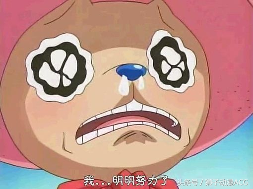 海贼王最强船医排名,海贼王10大怪医生排名