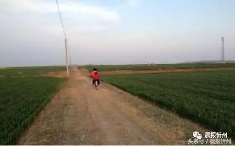 创文明城市特别策划：“我眼中最美春天”随后拍作品7