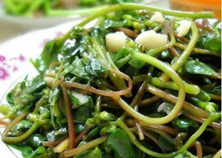 逆天了中国吃货!多肉植物炒肉吃!