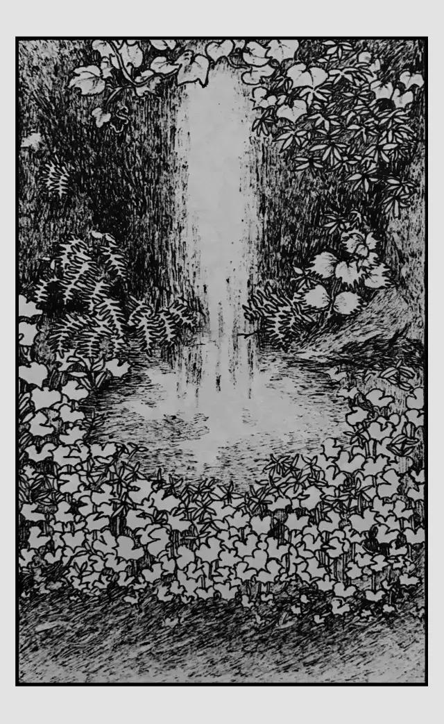 插画师迷狸:路过,停留