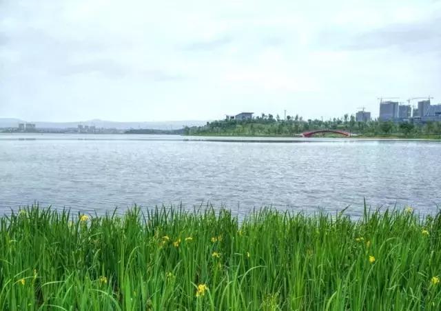 成都新公园开园,成都最大的十大公园