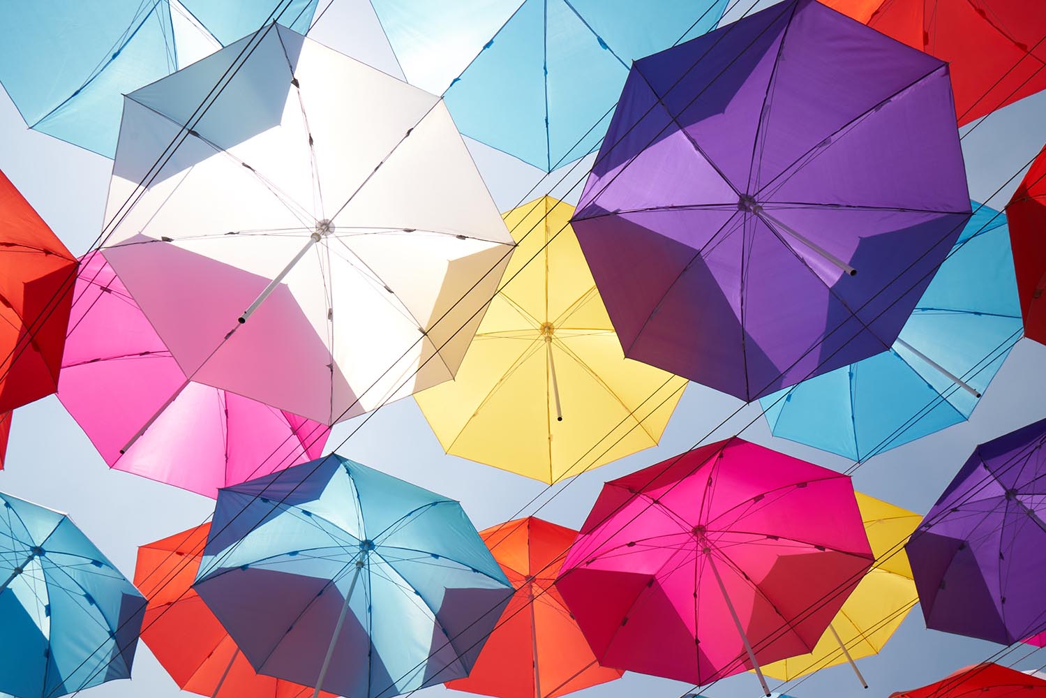 Phosion带你邂逅你的男神女神上海浪琴环球马术冠军赛