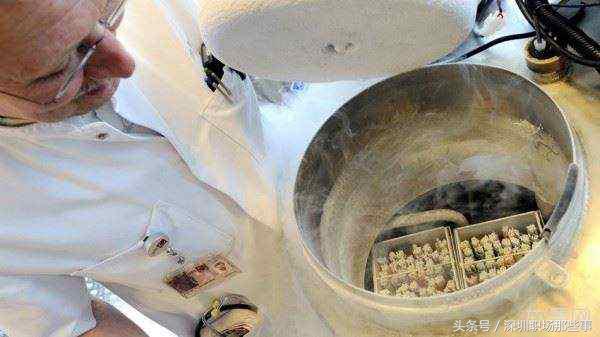 世界唯一的后悔药，赴美冻卵游7日索价21万，专吸单身女企业家