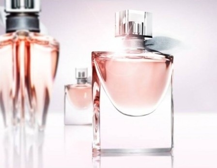 兰蔻沙龙玫瑰,兰蔻的浪漫故事