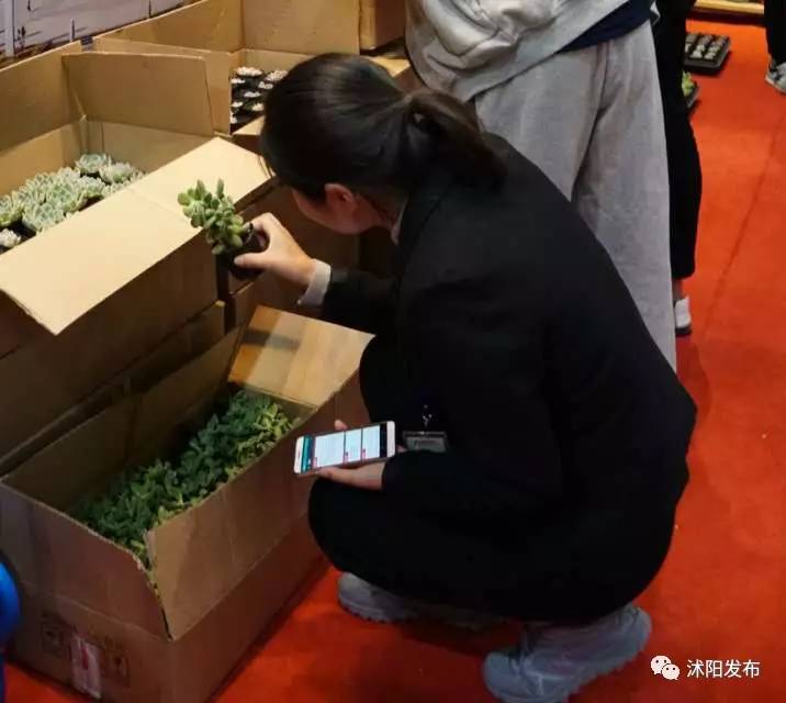 奏响时代发展强音,奏响时代强音完整版