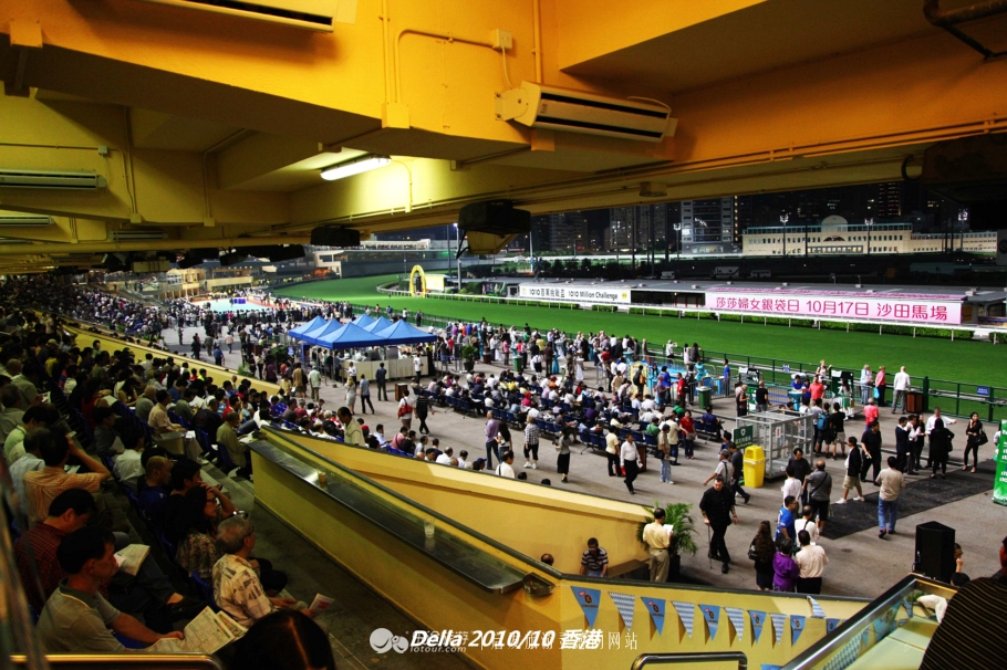 香港跑马地现场直击赛马