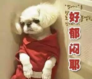 第一艘航母下水后的事件,新航母下水时险些沉没的视频