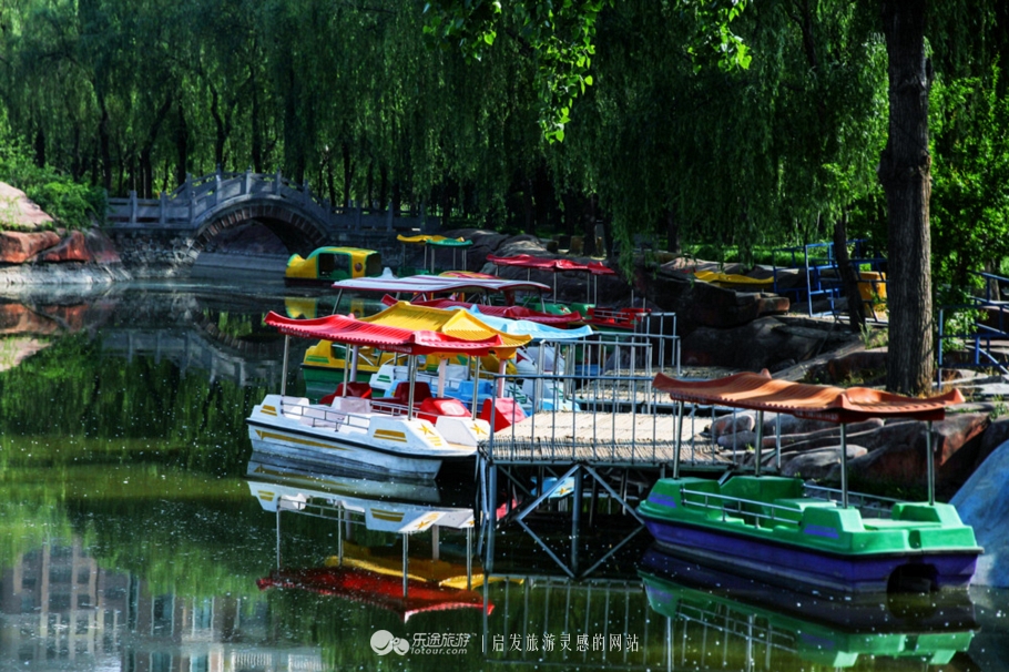 花园宝宝的萌宝,花园宝宝幼儿园里欢乐多