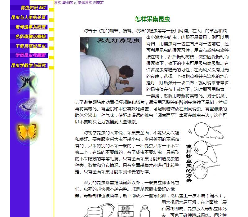 学习昆虫知识的网站,免费学习有趣的昆虫知识
