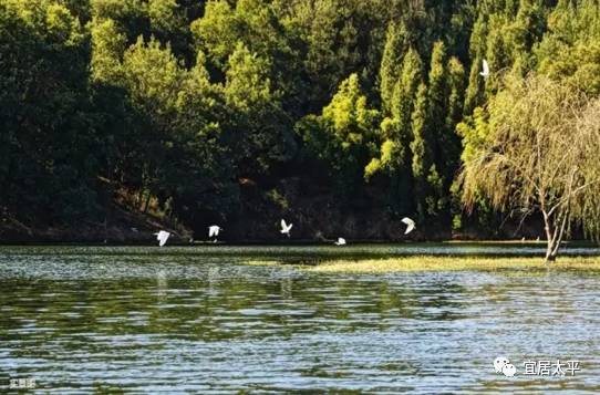 「宜居太平周年庆」重磅！徒步太平第二季正式发布！走完赛季全程可赢玉龙湾百万房产！