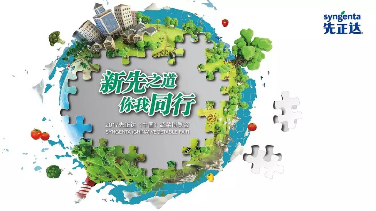 先正达24大蔬菜新品种,先正达蔬菜新品种