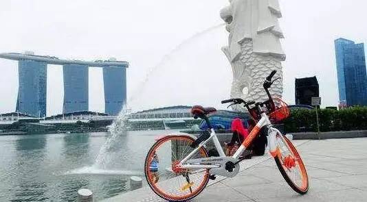 共享单车骑行常识及注意事项,使用共享单车注意哪些安全行为