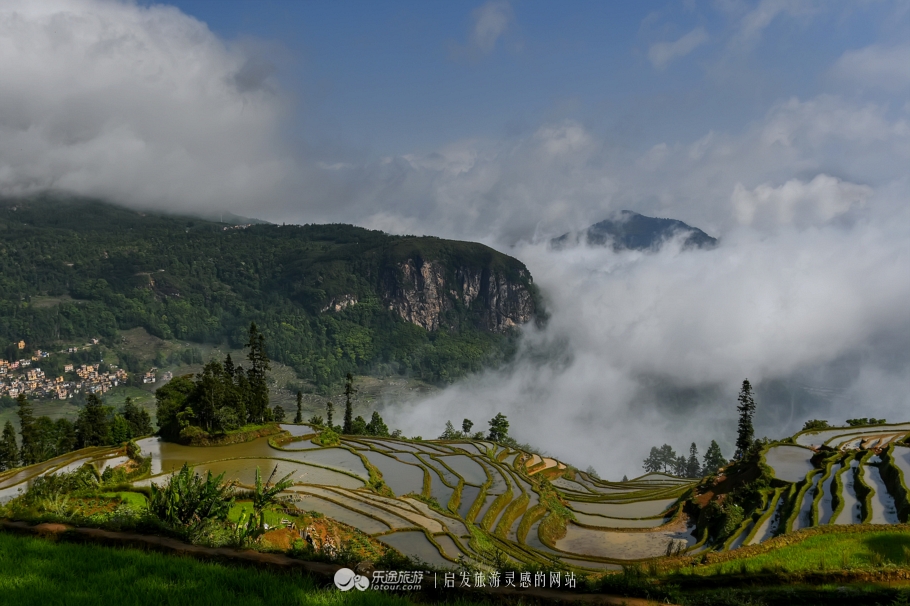 元阳梯田十二庄园香典民宿,元阳梯田世外桃源