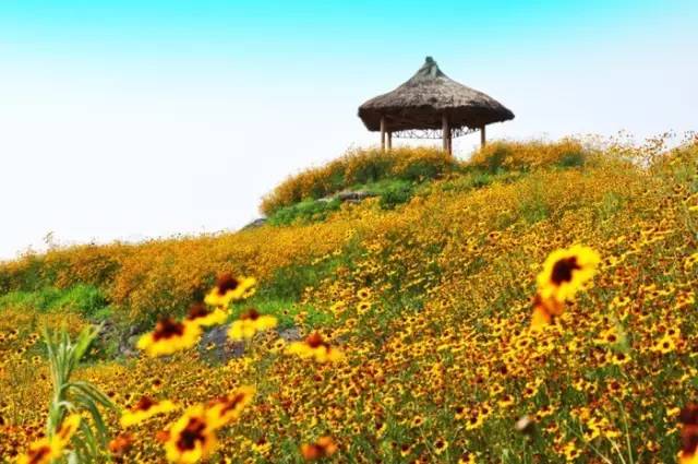 重庆五一节一日游景点推荐,五一重庆哪里玩