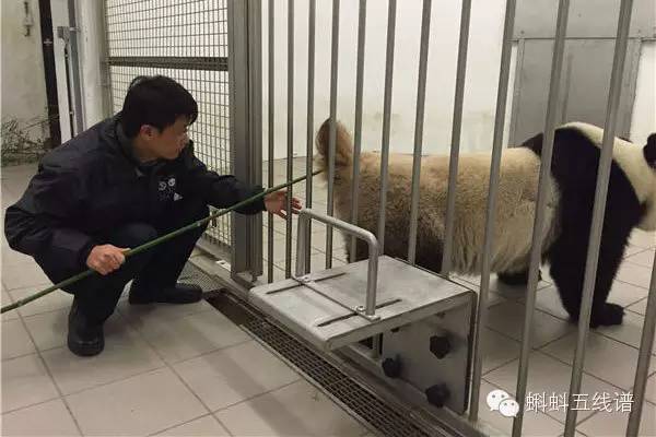 震惊众人的片段,惊呆众人的现场