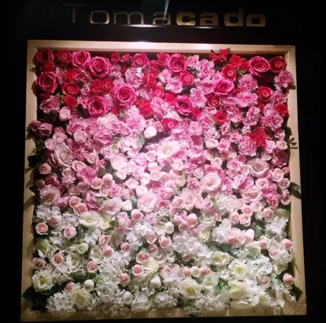 滚蛋吧肥肉君的视频,滚蛋吧肥肉君图片