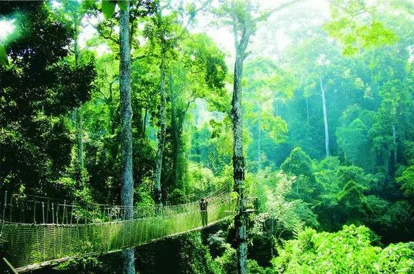 泼水节西双版纳旅游需要注意什么,西双版纳泼水节防晒攻略