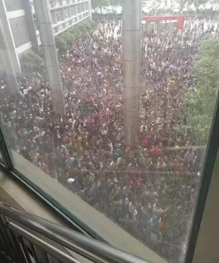 火力全开！南京12所民办小学面试题全曝光！