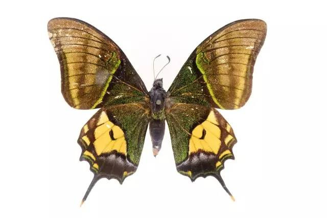 去三亚玩的旅游攻略,错峰去三亚