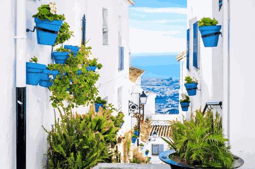 法意瑞和斑马的区别,法意瑞和斑马哪个好